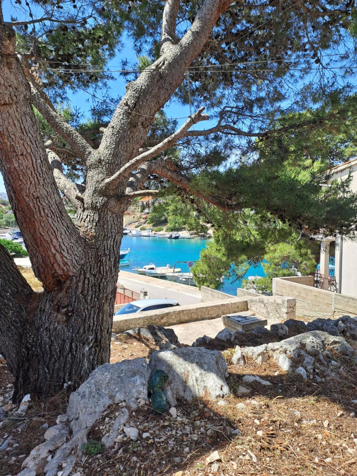 Apartmani Rak Razanj Exterior photo